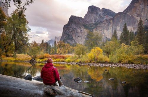 Person sitting on a wood log overlooking Yosemite National Park