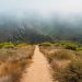 Fog covered hills along Point Mugu Scenic and Overlook Trails Loop