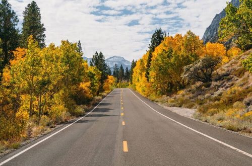 Rock Creek Road Near Mammoth Lakes