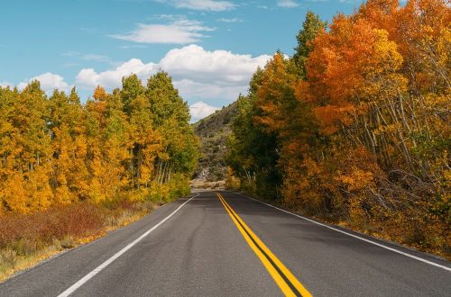 Road traveling through Mammoth Lakes in the fall
