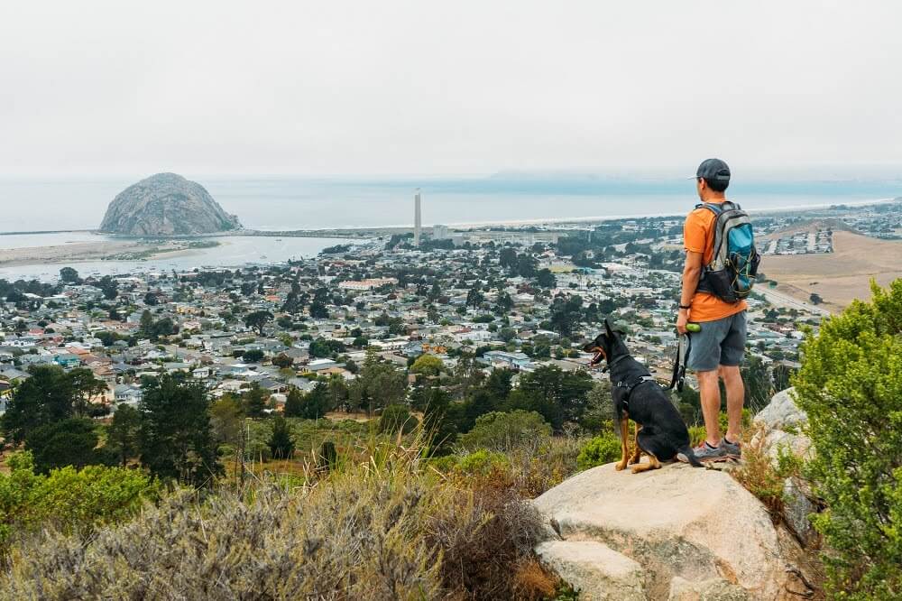 Man and a dog on a hike on the Central Coast In California