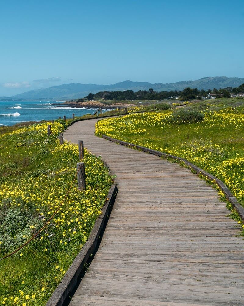 Moonstone Beach Boardwalk in Cambria