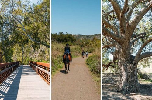 Wildwood Hill Canyon Trail At Santa Rosa Valley Park In Camarillo