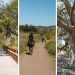 Wildwood Hill Canyon Trail At Santa Rosa Valley Park In Camarillo