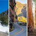 Top Things To Do In Kings Canyon National Park