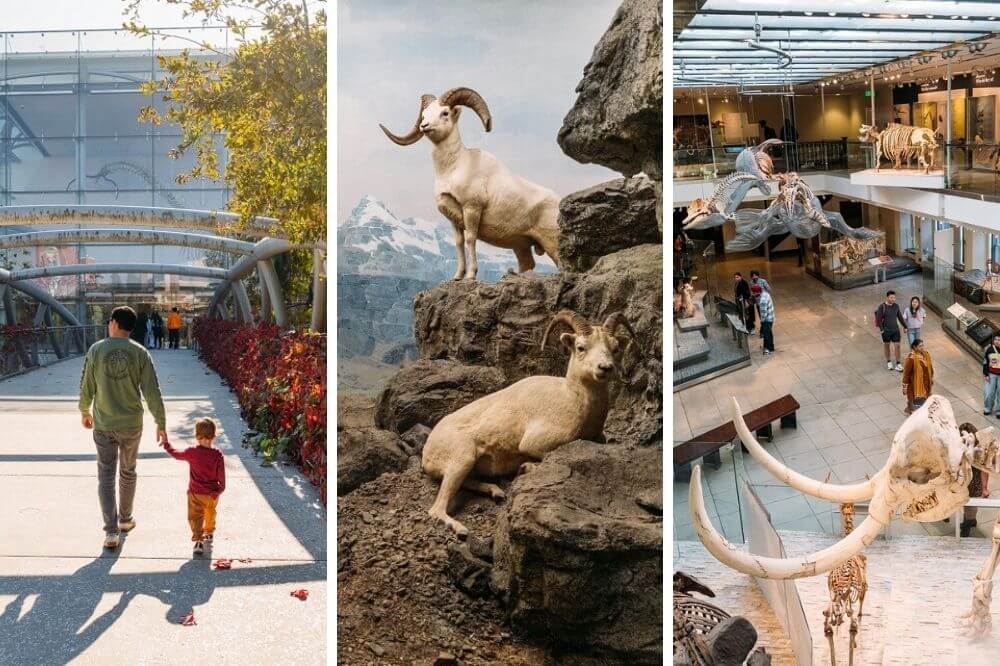 Visiting Natural History Museum of Los Angeles County