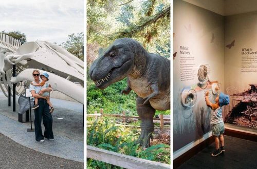 Visiting The Santa Barbara Museum Of Natural History